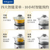 东菱（Donlim） 蒸汽锅电炖锅汽锅家用电蒸锅多功能蒸炖锅隔水炖盅 【非质量问题不支持7天无理由售后，介意慎拍！】汽锅(1.5L)+煮锅(2.0L) DL-9009 商品缩略图7