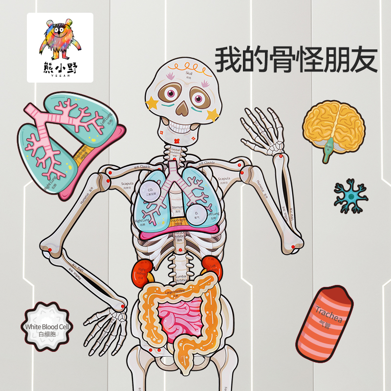 【3岁+】熊小野 我的骨怪朋友——人体骨骼拼图