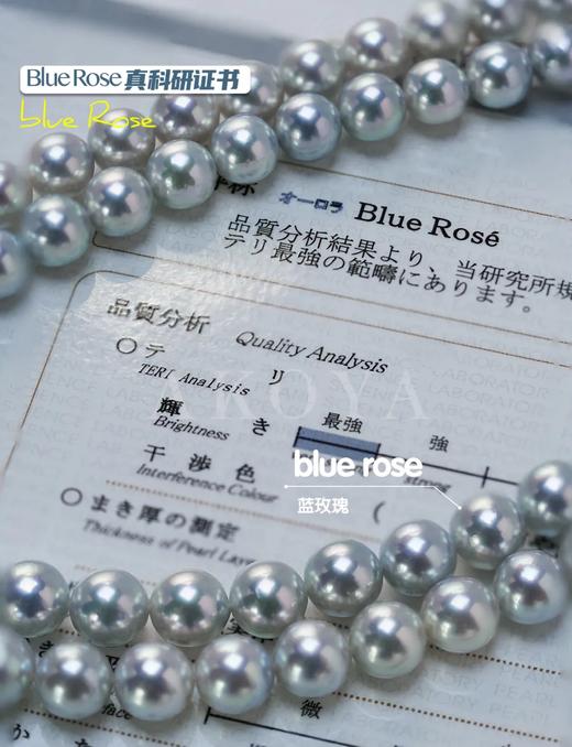 7.5-8mm 蓝玫瑰海水珍珠项链 商品图3