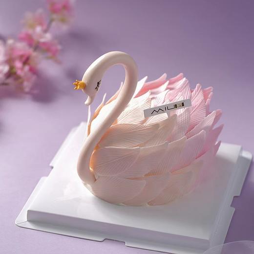 天鹅 商品图2