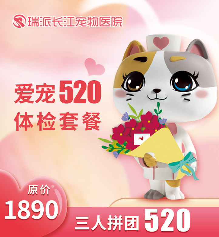 爱宠520体检套餐
