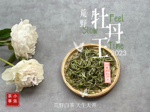 【2023春茶来了】2023荒野牡丹王，如胶似漆，如浆似汤，像是上游的浣花溪里，有美人滴下了几滴珍贵的花露 商品图1