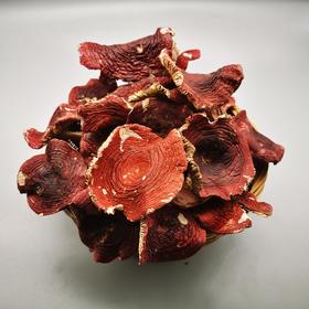 云南普洱大红菌（干货）一级150g/袋