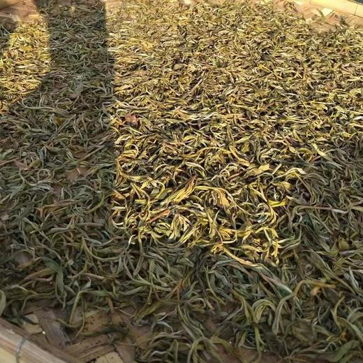 【拔玛】古树纯料普洱茶 商品图3