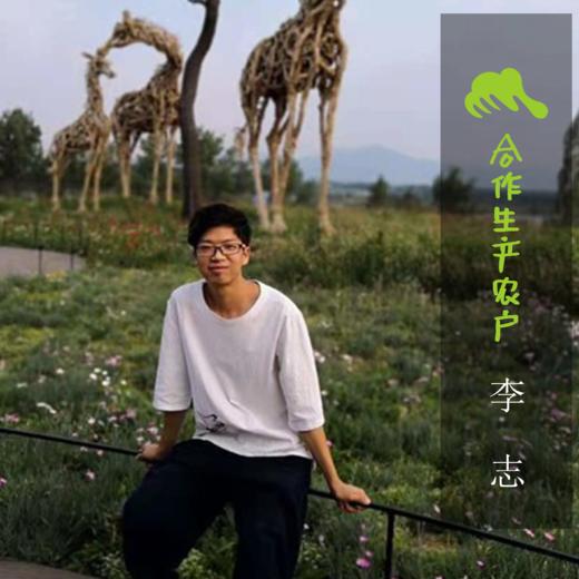 生态高山苦笋（已焯水） | 合作生产 *Ecological Bitter Bamboo Shoots | Coproduction 商品图1