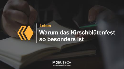 20.【生活】特别的樱花节（MP3） 商品图0