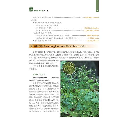 凤阳山植物图说（第三、四卷）/金孝锋 叶立新 陈征海 徐跃良/浙江大学出版社/第3卷/第4卷/图谱图鉴/自然保护/动物/分类/珍惜濒危 商品图2