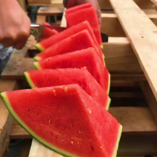 周三配送万柳地区！地里熟，瓜味浓瓜皮薄、汁水丰盈、口感沁甜、果肉鲜红，是这个季节瓜中上品， 一个6-7斤左右！ 商品图0