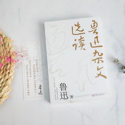 鲁迅杂文选读 鲁迅 著 文学 商品图2
