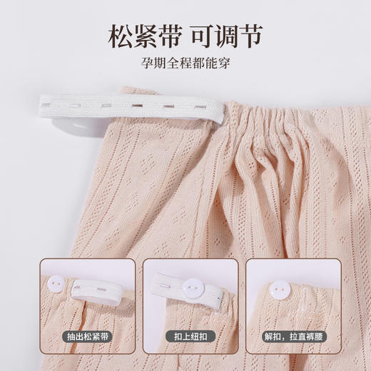 雅黛丽全棉内裤女孕中晚期高腰大码短裤可调节夏季薄款透气裤头女 商品图3