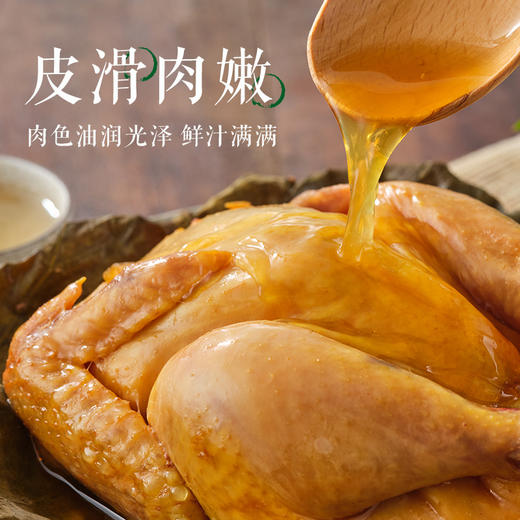 紫燕百味鸡荷叶鸡580g叫花鸡 商品图3
