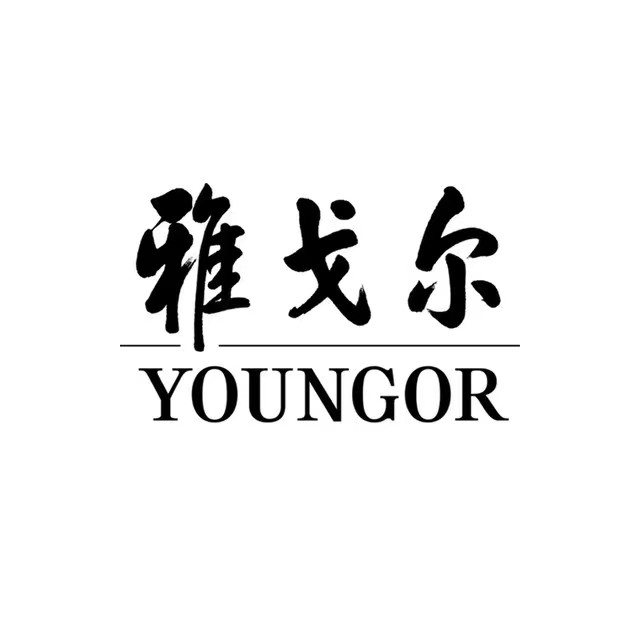 合作企业icon