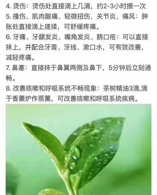 加拿大Holista 100%茶树精油！100ml装！美国采购，无中文标签，介意慎拍  A 商品图5