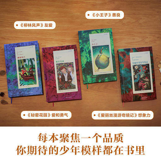 乐乐趣-TEEN经典系列 小王子+柳林风声+爱丽丝梦游奇境记+秘密花园 商品图1