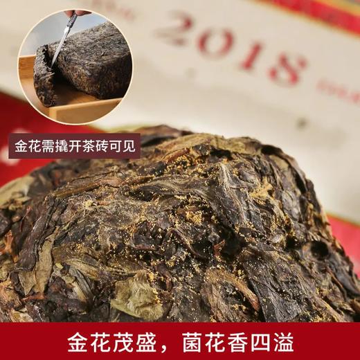 钧泽源有机茯砖 1kg/片 2018年茯茶甘润甜醇 商品图1