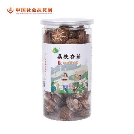 桑枝香菇花菇140克罐装干货 商品图4