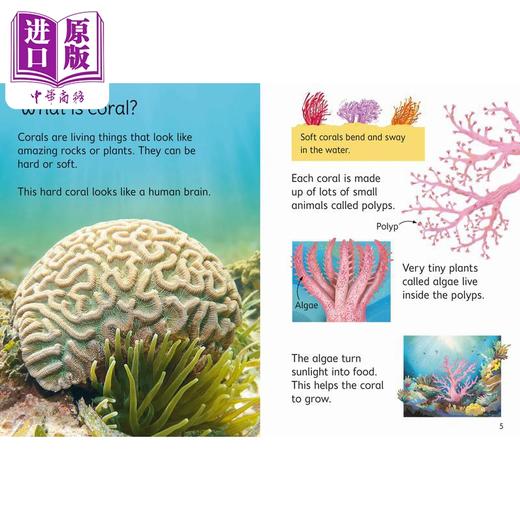 【中商原版】Coral Reefs 尤斯伯恩:珊瑚礁 英文原版 进口图书 儿童自然绘本 科普百科图书 科学知识儿童读物 亲子读物 童书 商品图1