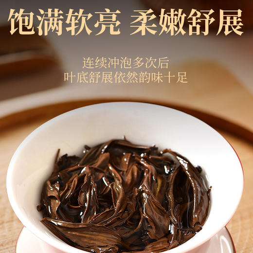 传奇会 正山小种花果香红茶礼盒装200g 商品图5