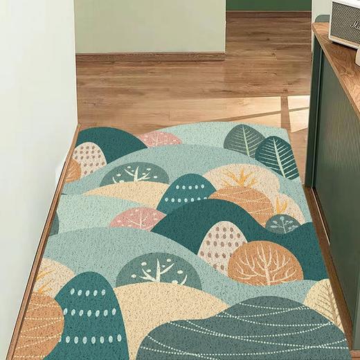 入户地垫进门家用丝圈地毯小清新玄关可裁剪脚垫大门口蹭土垫子 商品图5