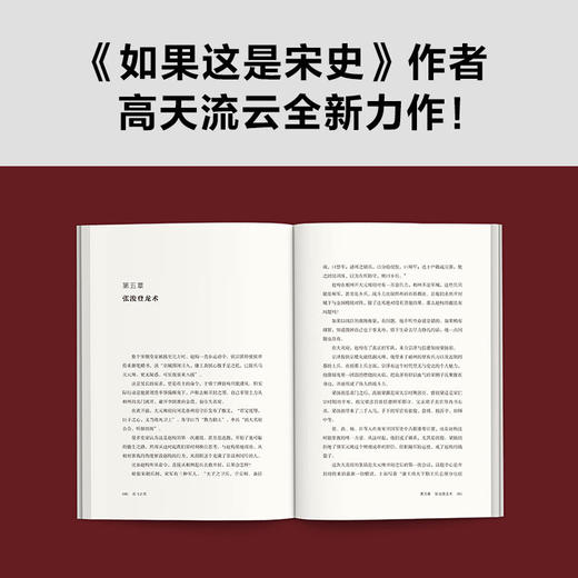 岳飞之死 高天流云 著 历史 商品图2