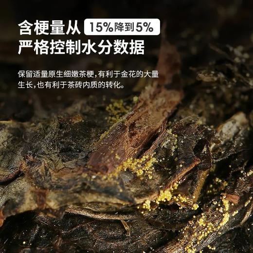 钧泽源有机茯茶 白沙溪品牌 可掰开的茶 花果香馥郁 商品图3