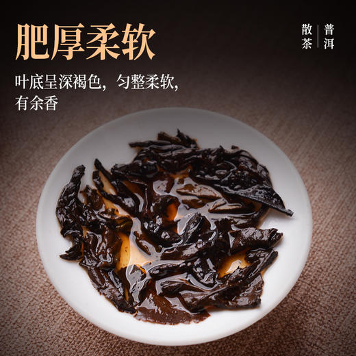 云南勐海春茶 | 普洱茶熟茶 商品图4