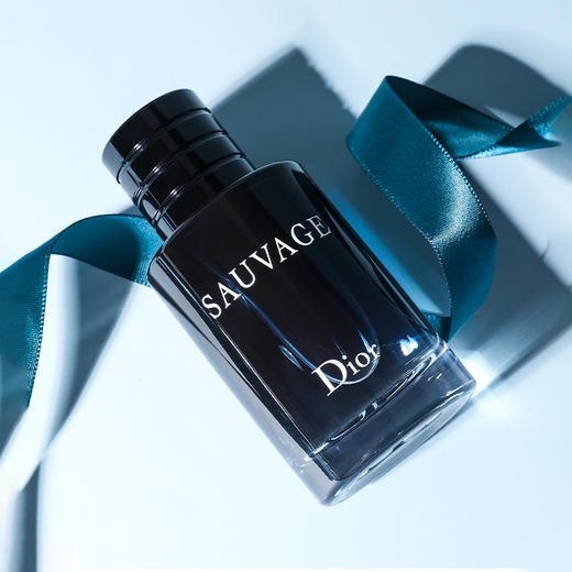 【双12嗨购节】【全球购 *送迪奥甜心香水+礼袋】Dior迪奥旷野 男士香氛香水EDP浓香100ml· 商品图7