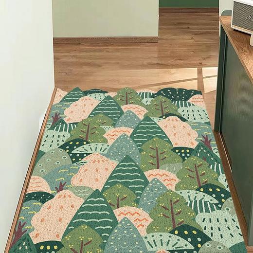 入户地垫进门家用丝圈地毯小清新玄关可裁剪脚垫大门口蹭土垫子 商品图7