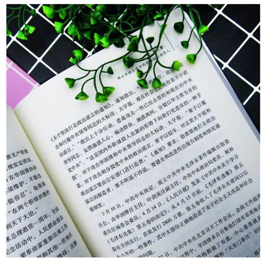 邓小平评点古今人物 商品图2