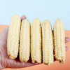 产地直发 | 【枝悦】云南版纳拇指小玉米傣家迷你手指香糯真空玉米棒宝宝即食早餐 商品缩略图3
