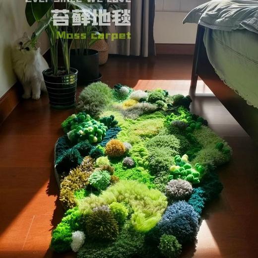 万物生苔藓地毯_材料包DIY! 商品图0