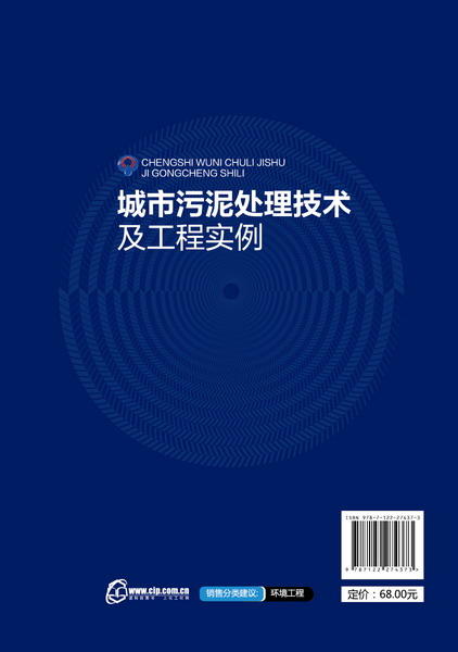 城市污泥处理技术及工程实例 商品图1