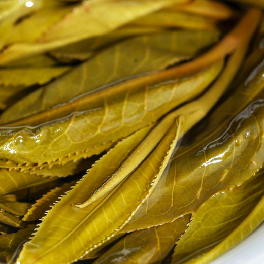 【冰岛老寨团茶】掌柜私藏好料全网都在寻找的2019年冰岛老寨古树茶非遗工艺精致而成每团：500克 商品图4