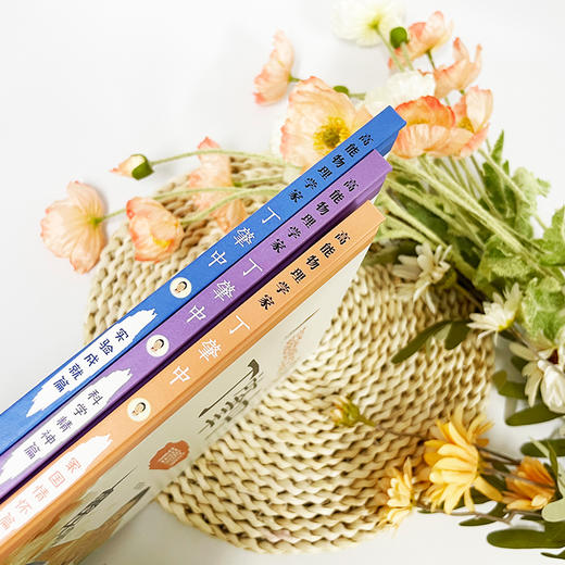 高能物理学家丁肇中（家国情怀篇+实验成就篇+科学精神篇 全三册） 由丁肇中主题科技馆创作，中科院院士审阅，附赠全书音频故事 商品图5