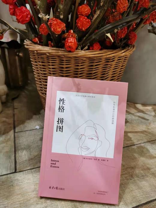 性格拼图     【德】西尔维亚·洛肯著 商品图3