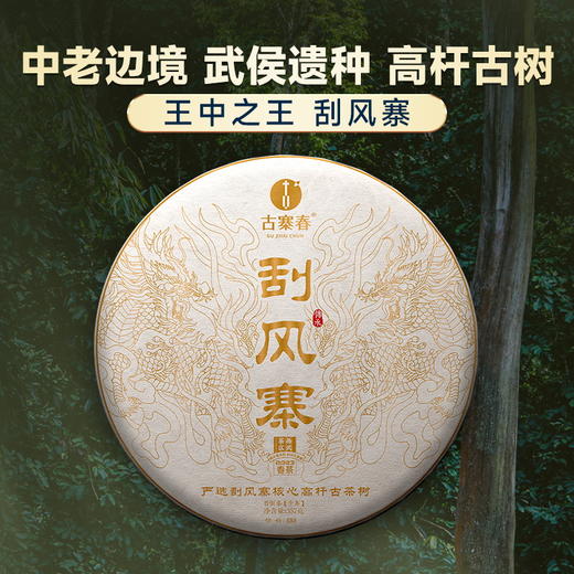 【刮风寨】2023年头春头采今年掌柜首款巨作，全部为挑采不低于20米高杆古树茶，掌柜出手比出好茶357克/饼 商品图0