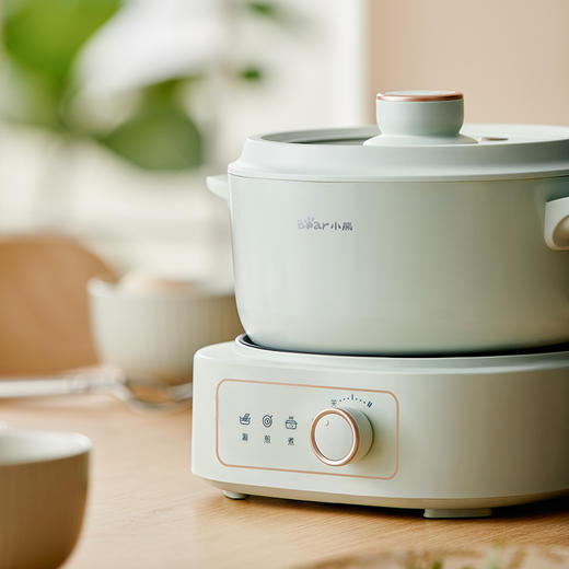 【小程序】小熊电热火锅 DHG-D25G2 浅绿色 430蒸笼 商品图3