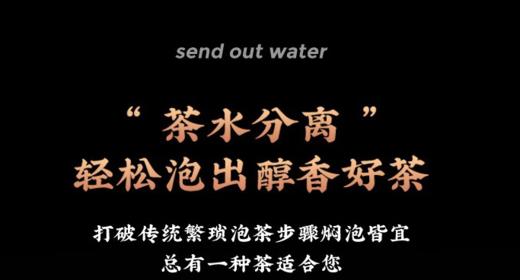 巴米乐温显焖茶壶BNL-BW125-1600  1.6L（颜色随机发） 商品图3