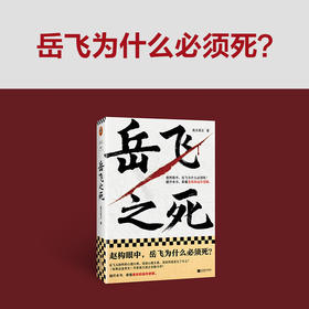 岳飞之死 高天流云 著 历史