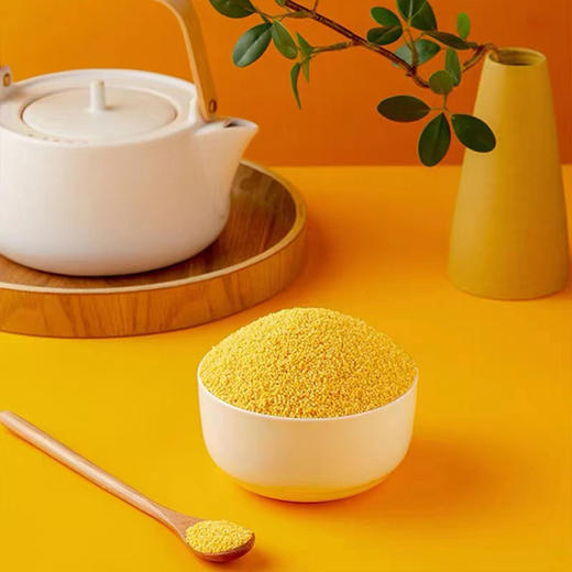 滇藏源牌小米400g/袋 商品图2