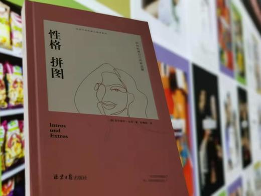 性格拼图     【德】西尔维亚·洛肯著 商品图2