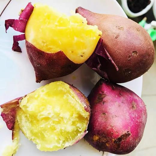 鲜悦 海南桥头地瓜5斤/9斤 沙地富硒板栗薯红薯香薯 蜂蜜地瓜 桥头地瓜 48小时发货 商品图4