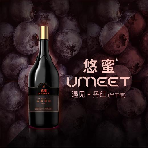 13度茅台悠蜜UMEET蓝莓精酿 遇见·丹红（半干型）550ml 单瓶 商品图8