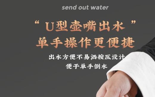 巴米乐温显焖茶壶BNL-BW125-1600  1.6L（颜色随机发） 商品图4