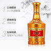五粮华彩人生V60 52度金装版浓香型纯粮白酒 500m 商品缩略图2