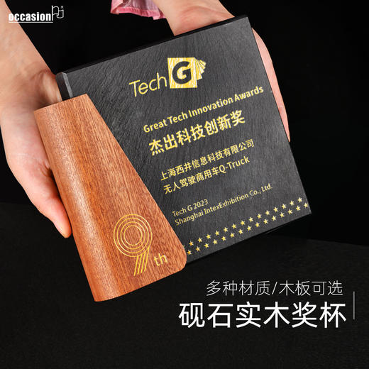 彩印水晶奖杯定制奖牌定做榉木实木经销代理加盟商授权牌荣誉摆件 商品图3