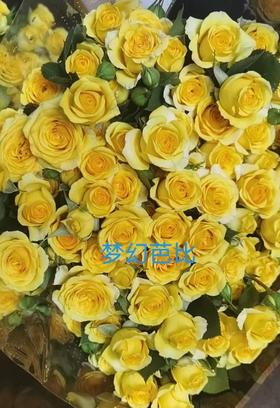 多头玫瑰·梦幻芭比