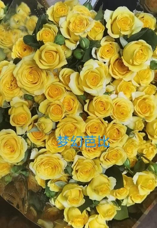 多头玫瑰·梦幻芭比 商品图0