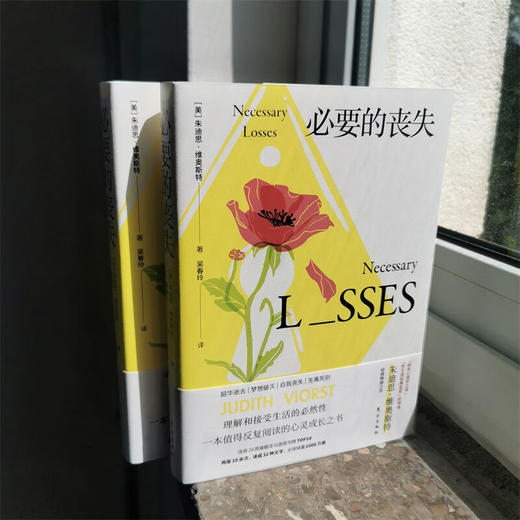 必要的丧失 | 心理学“终生成就鼻祖奖”得主经典著作 与失去和解，拥有健康心态 商品图1
