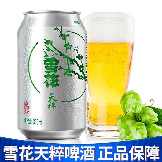 雪花天粹9度330ml 商品图4